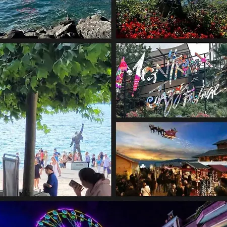 Maison Avec 2 Espaces Separes Sur 2 Niveaux Distincts, Montreux,festivals,chateaux De Chillon,freddiemercury,casino,lac Leman Plages,montagne, Pour Voyageurs Souhaitant Partager Maison Familiale Et Economique, 15 Minutes A Pied Du Centre En Desce * Montreux